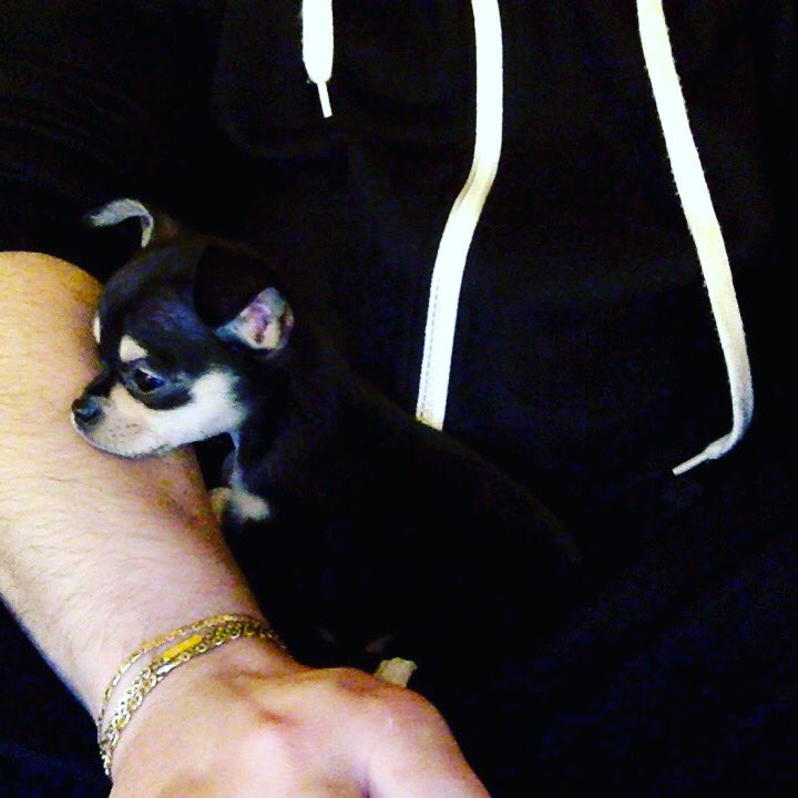 Sta sempre appoggiata sul braccio mentre monto i video sto sgorbio 😍 #YunaDoesntMatter