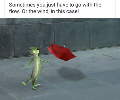 LA_BUTLER_Promo's tweet photo. Stand strong today, my friends...
#picrepost #geicogecko #mdspring https://t.co/xUWysVPvOn