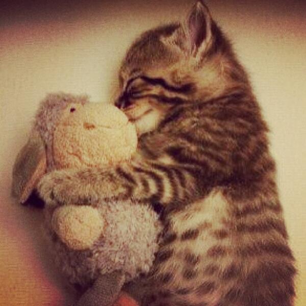 Retweet if this made you say awww.. '