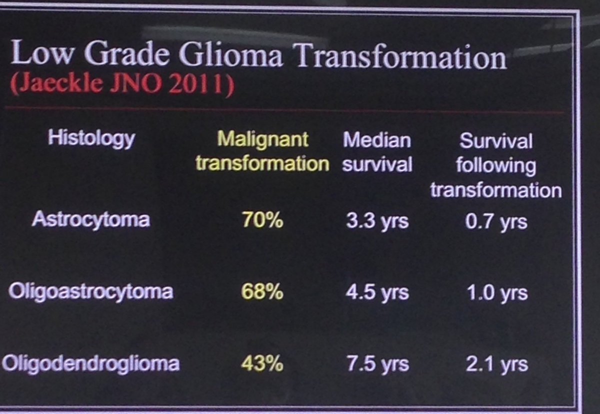 NoBrainCancer's tweet photo. Dr Marc Chamberlain presenting on Low Grade Glioma brain tumor Transformation. #IABTM #BTSM #BrainCancerOrg #SSF https://t.co/FKxwWm4QHY
