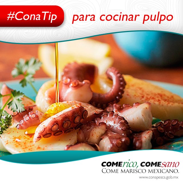 hoytocan's tweet photo. #ConaTip:
Para cocinar pulpo
Aquí lo encuentras:
https://t.co/hoFCxwoWsj
@SAGARPA_mx @Conapesca https://t.co/qazhJSiYpx