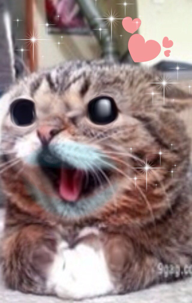 LvlMediaTeam's tweet image. This is what crack does to you. #CRACKCAT