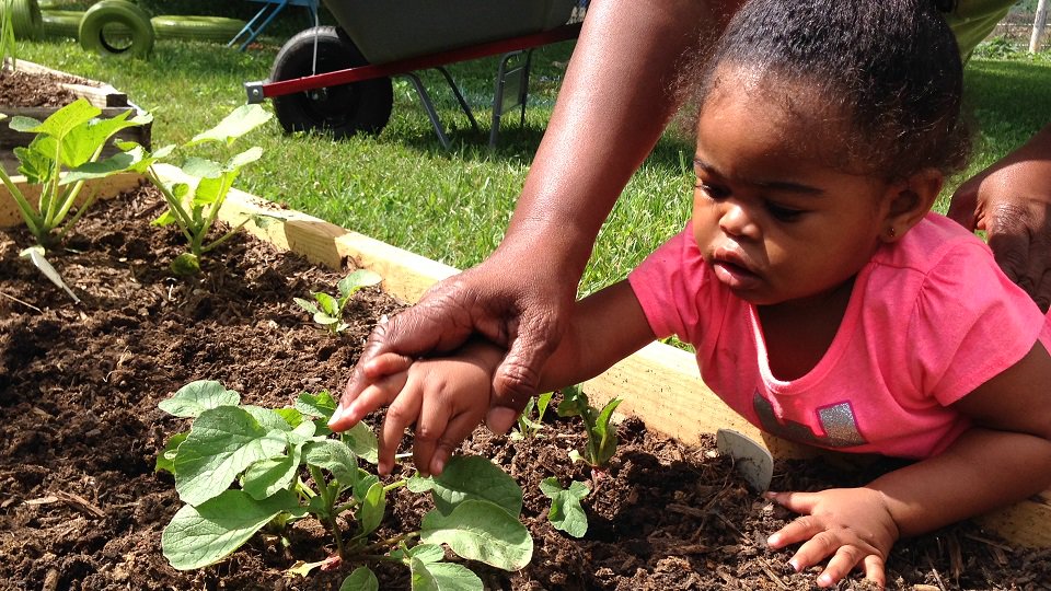 National Farm to School Network tweet media