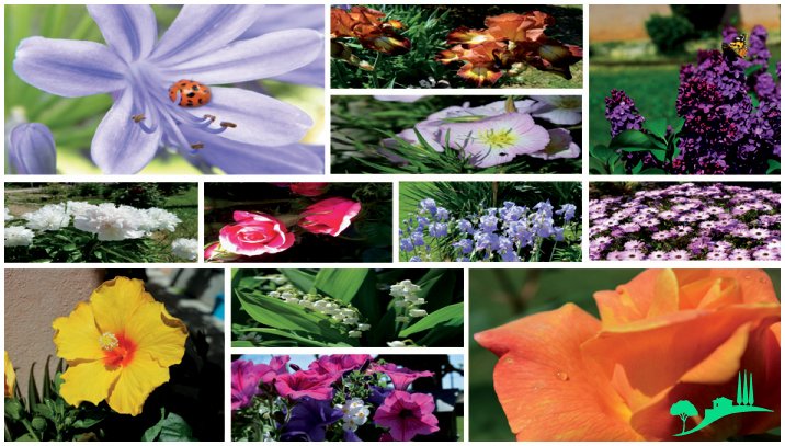 JARDINEA tweet media