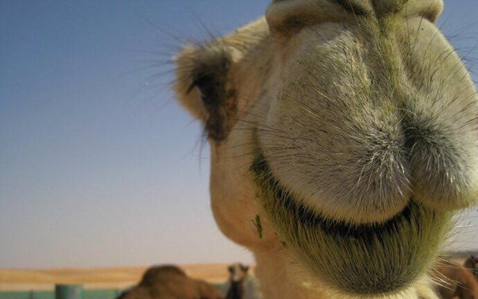 WorldofTravelGB's tweet photo. Happy Friday Twitter world. Time to get your groove on! #FridayFeeling #Celebratingtheweekend 🙋🏻💃🏻🍽🍾🍻🎉😎 #weekend https://t.co/bcK2wUBMxk