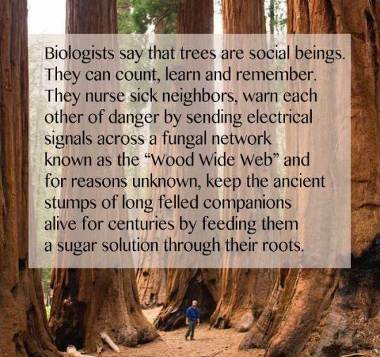 Dennis Lee (@dennishlee) on Twitter photo 