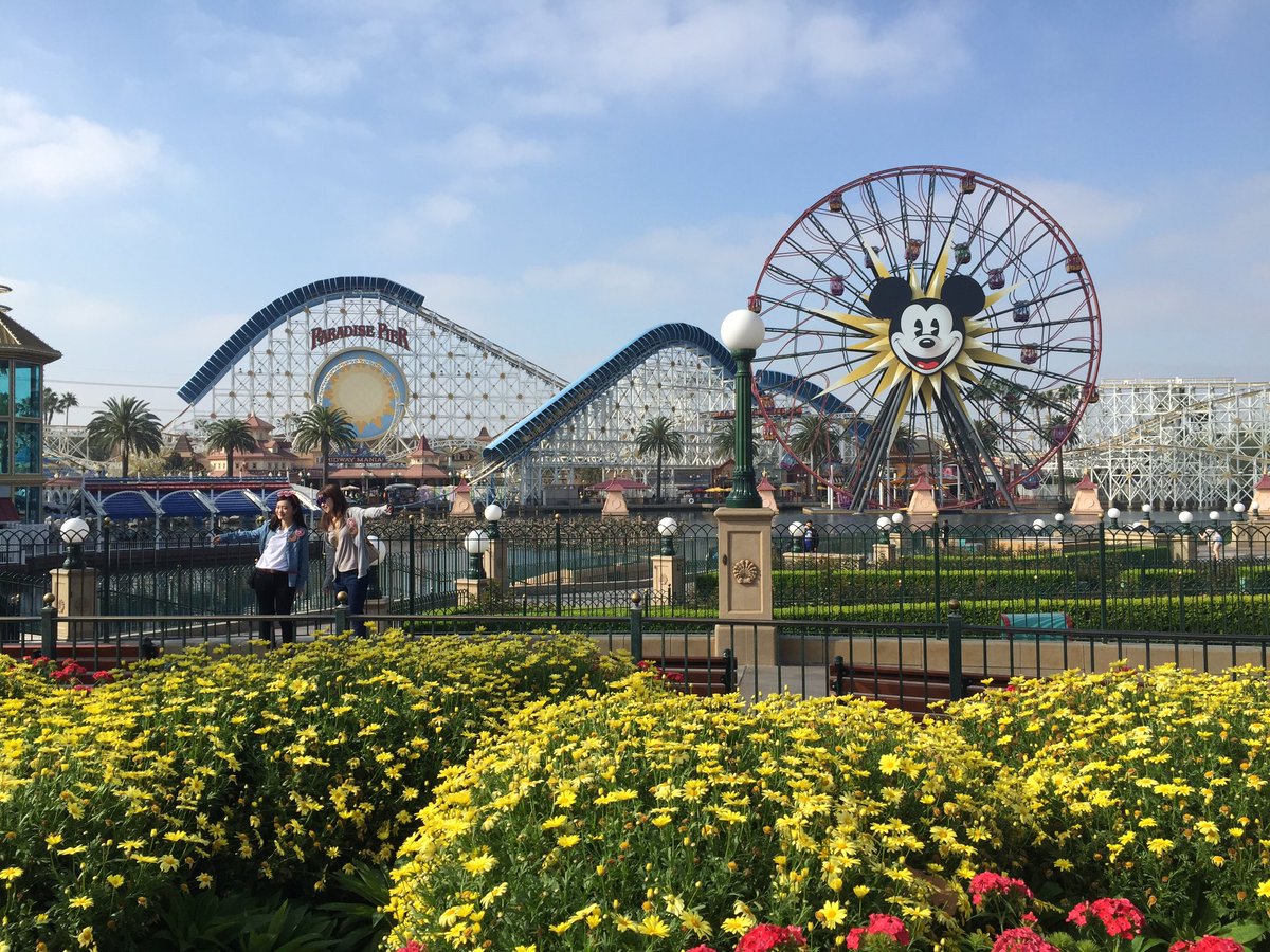 GrangerHS's tweet photo. California Screamin'! Lookout! #grangercheer #grangerpics https://t.co/PIRcZQFzbr