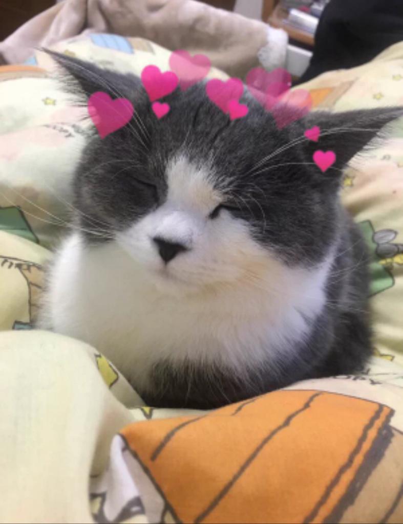 this is me feeling satisfied