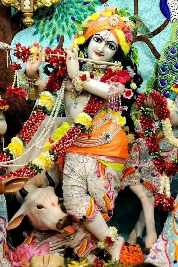 2016shamasharma's tweet photo. Iski adaa hi jara hat kar h kyunki ye kanha hi jara hat kar h https://t.co/nMub9SBWav