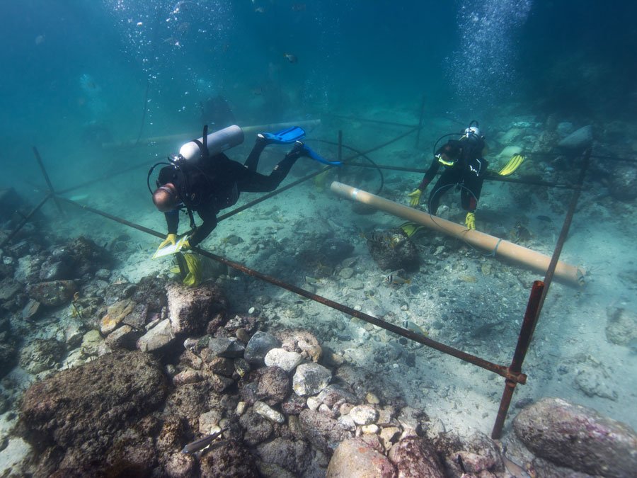 Britannica's tweet photo. ICYMI: Historians say 1998 #shipwreck is Vasco da Gama's lost Esmeralda. #EB5at5 #IntheNews https://t.co/mMmPdfjFQj https://t.co/IqM5rumwRM