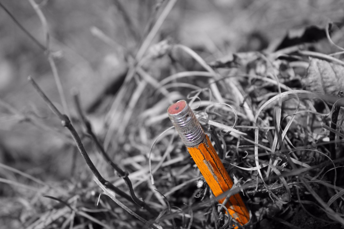 MrTuckner's tweet image. Learning #photography #photoshop #colorselection #isd2580 #ruleofthirds #texture #depthoffield by Cody Springer