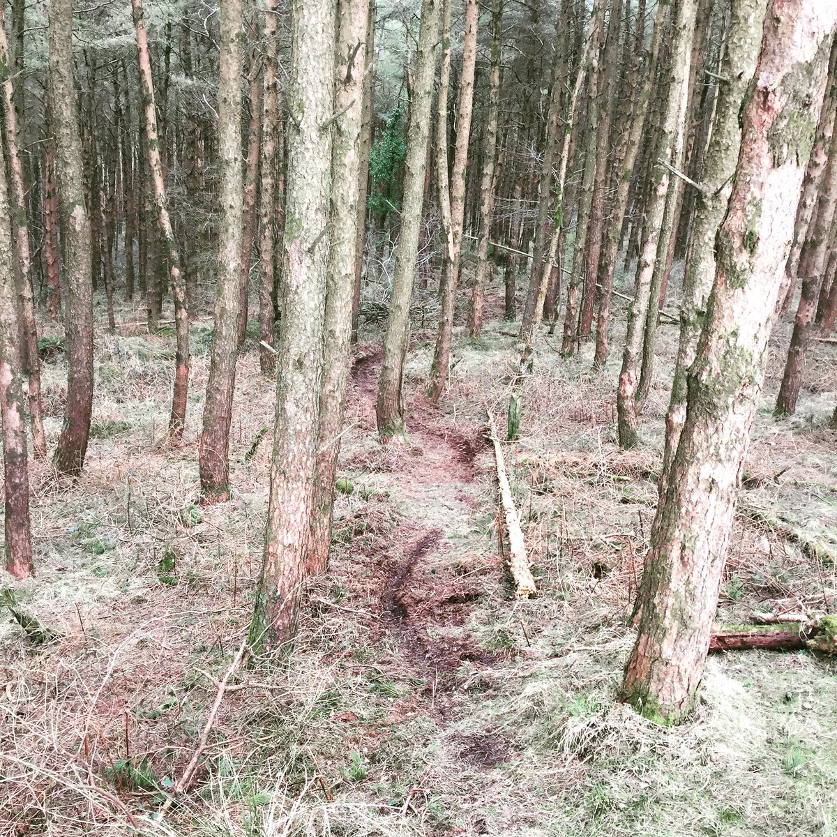 Airshotltd's tweet photo. Ruts coming along nicely #freshtrails https://t.co/t3Zu8brB9U