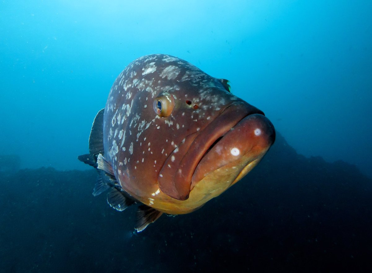 Will Appleyard tweet media