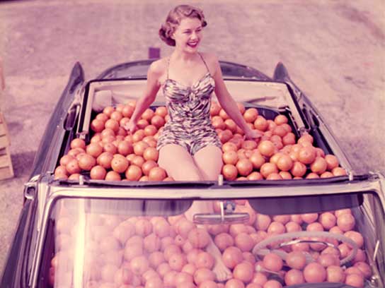 Still at work sending tweets but want to be sitting in a fruit filled car? We'll do the tweeting. It's your #weekend