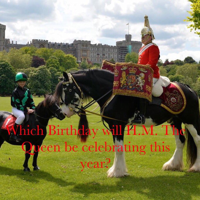 EquineHour tweet picture