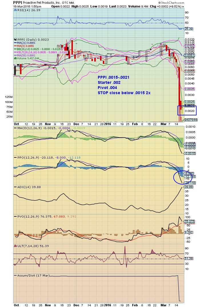 RadioSilentplay's tweet photo. $PPPI .0025 up watch the close end of day and week #bottomconfirmation https://t.co/hPJT597LeH