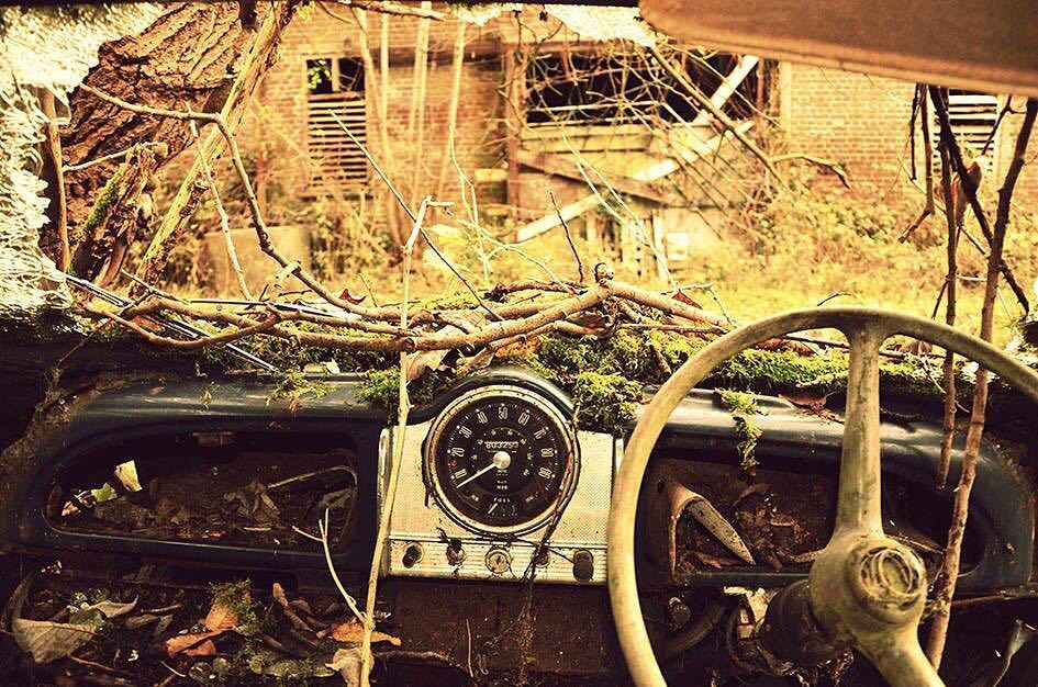 oldcar_photo's tweet photo. Inside the old car
#scrapyard #scrapcar #brokenwindshield #decay #naturereclaims #overgrown #lefttorot #lefttorust… https://t.co/rYcWY7euGg
