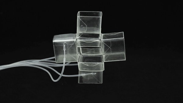 MedTechWorld (@medtechworld) on Twitter photo New Shapeshifting 3-D Material Could Make for Better Stents ow.ly/ZG1nE <a href="/HarvardResearch/">Harvard Research</a> #medtech New Shapeshifting 3-D Material Could Make for Better Stents ow.ly/ZG1nE <a href="/HarvardResearch/">Harvard Research</a> #medtech