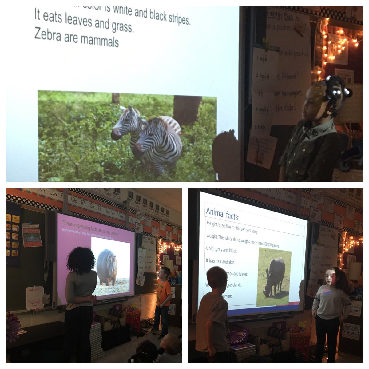 MrsCunninghamCH's tweet photo. D9's paired research project. Each group researched &amp; created a presentation #chdreambuilders https://t.co/zC3HyiOI1g