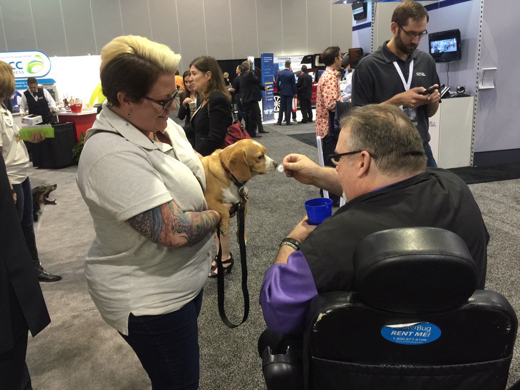 TamaraMcCleary's tweet photo. If picture paints a 1,000 words, this snap at #CPExpo speaks volumes. Shelter dogs @VZEnterprise booth. #FutureMaker https://t.co/Krk4XSuzr7