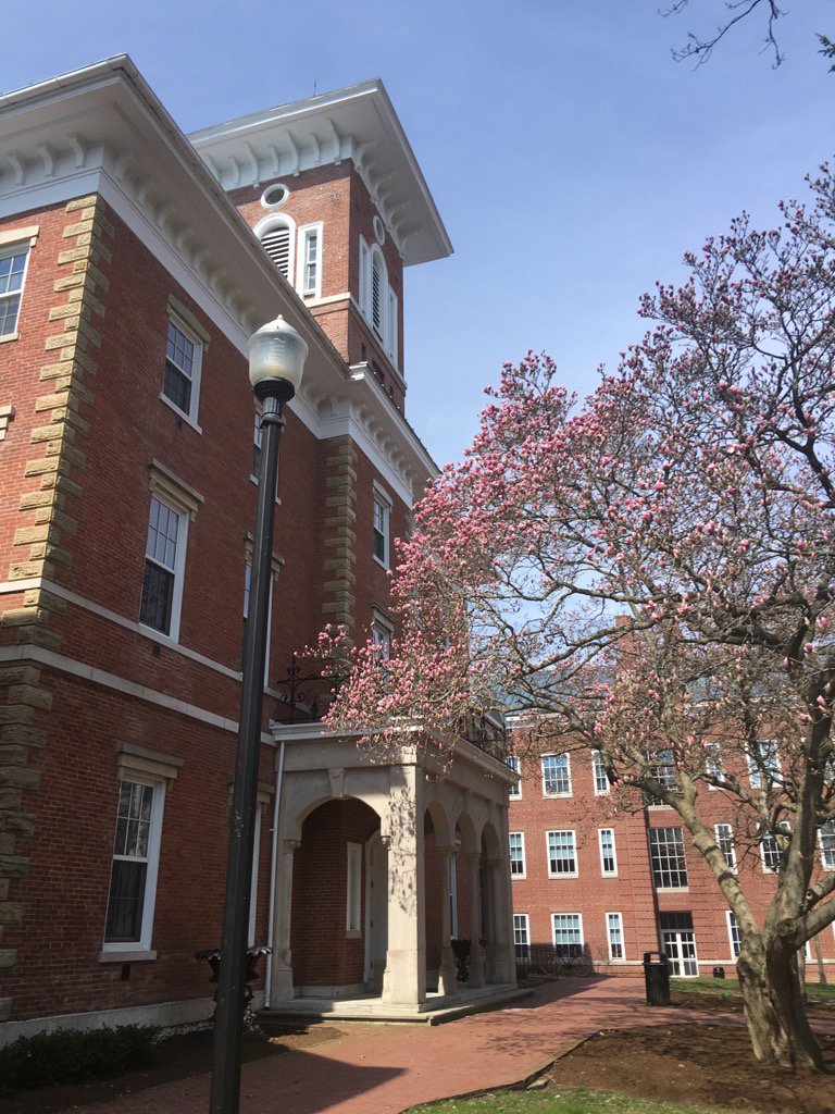 prezhess's tweet photo. The magnolias are starting to bloom @WabashCollege @Go2Wabash https://t.co/ZqpxLgkW7m