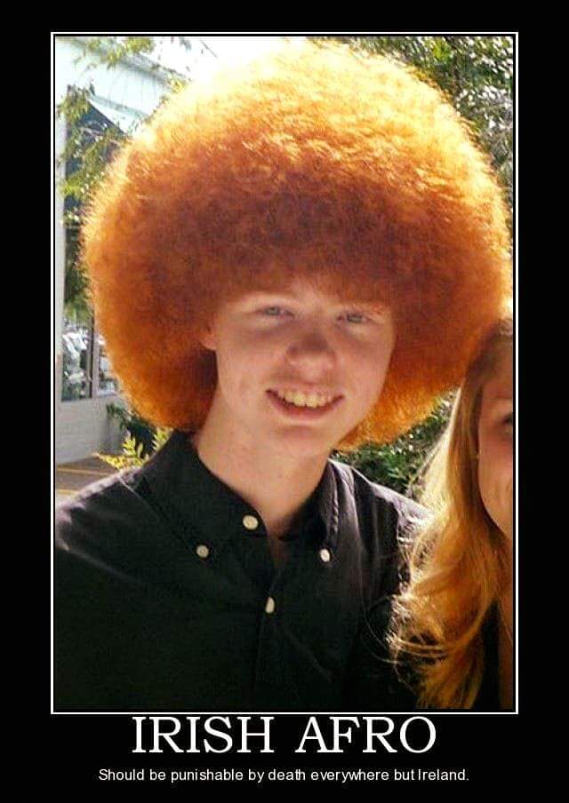 mrkimbrennan's tweet photo. #gingerfro https://t.co/CTzFcJlsit