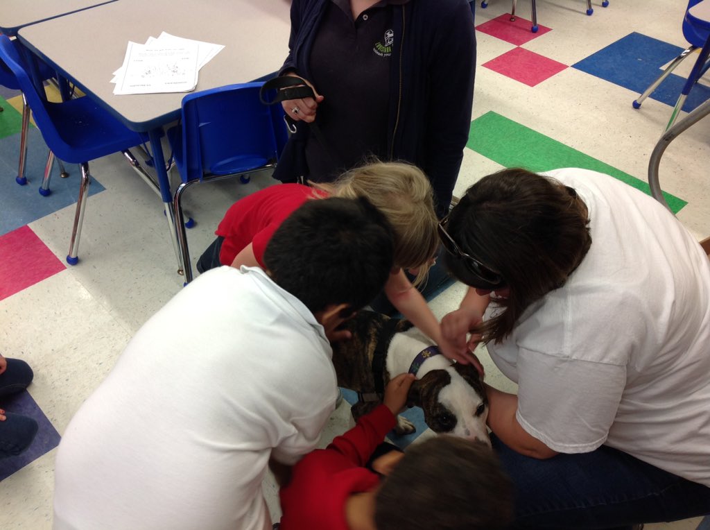 stm_PKB's tweet photo. From working a pretend pet adoption store to meeting the real deal @stmsaints @LASPCA #communityhelpers https://t.co/XVGocifeWy