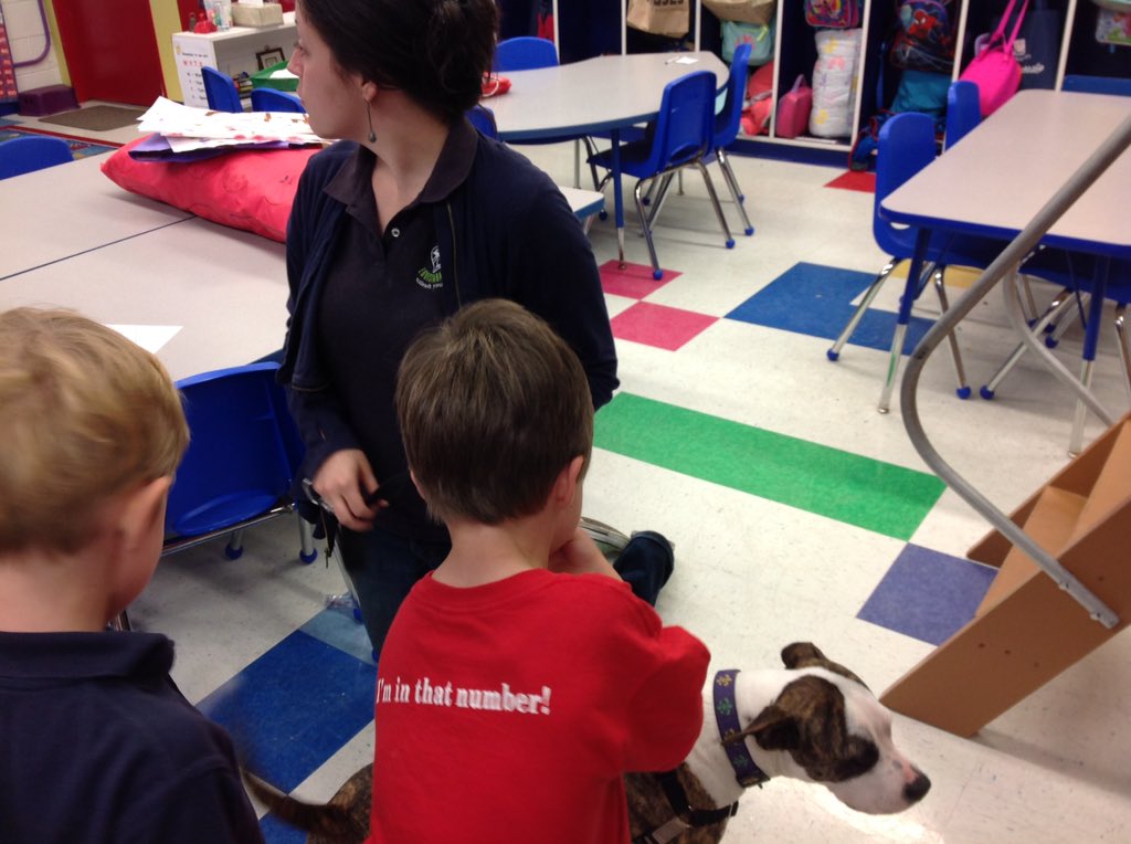 stm_PKB's tweet photo. From working a pretend pet adoption store to meeting the real deal @stmsaints @LASPCA #communityhelpers https://t.co/XVGocifeWy