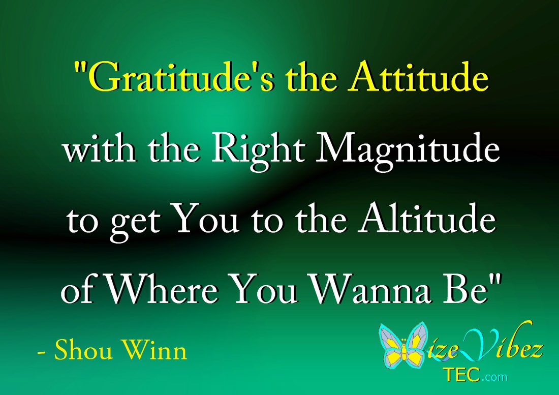 MaryLu Casey tweet media