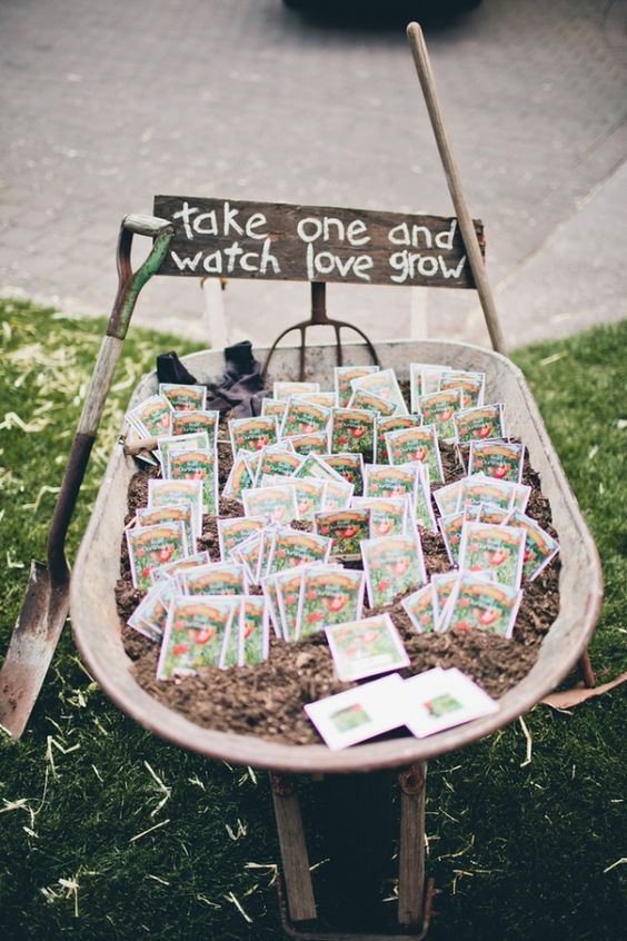 ¡Regala vida! #Plants #Favors #WPtips