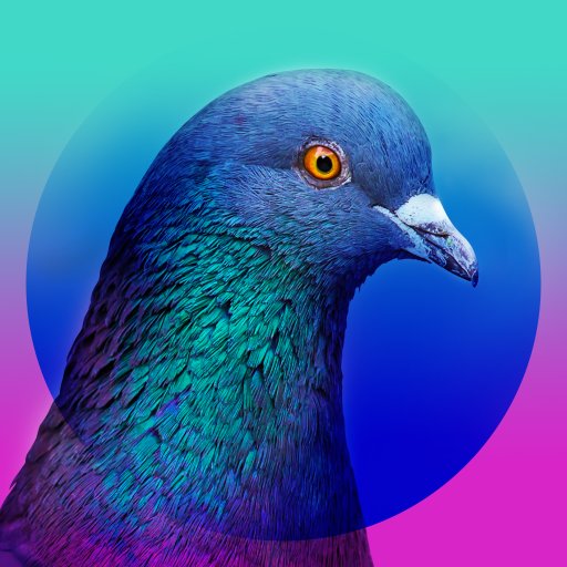 Lazy_Engineers's tweet photo. Plume Labs, putting Pigeons aka pooping machines to good use.
https://t.co/oaCKOIZHUX
#PlumeLabs #PigeonAirPatrol https://t.co/QmO97f1PBY