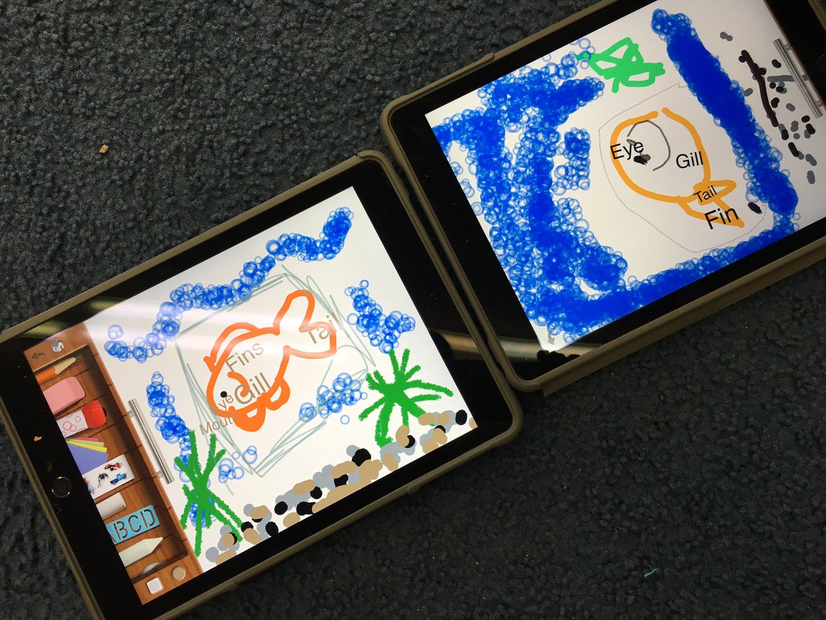 KariAddington's tweet photo. Friday afternoon in Kindergarten #science #foss #fish #drawingpad #labeling #ipadpower https://t.co/rpW96dcfug