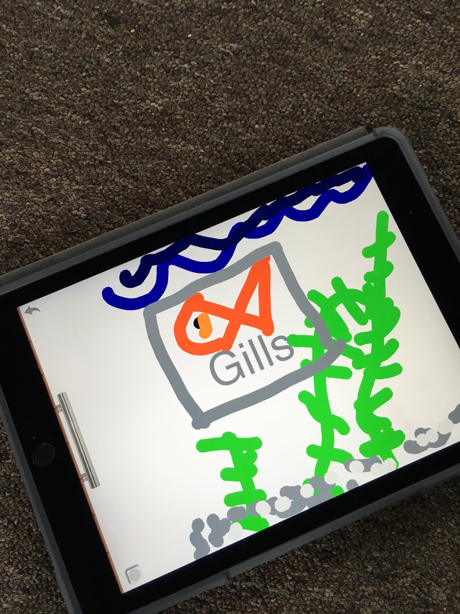 KariAddington's tweet photo. Friday afternoon in Kindergarten #science #foss #fish #drawingpad #labeling #ipadpower https://t.co/rpW96dcfug