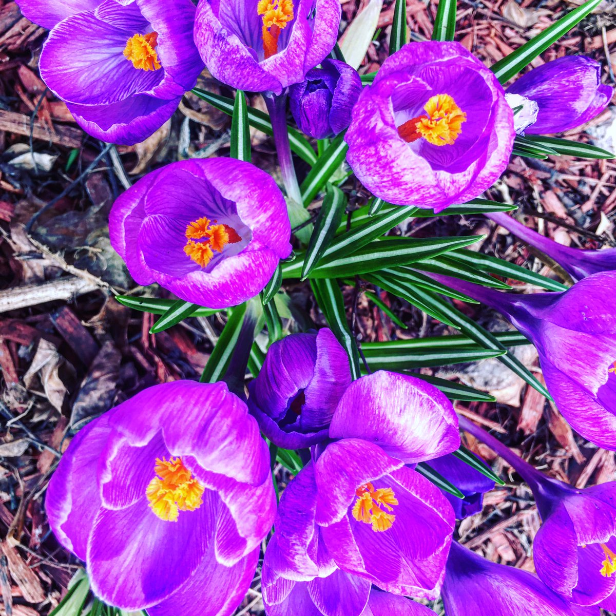 jsgeorge's tweet photo. Heard #spring has sprung back in the States!
#KeepMovingFast #EnjoyLife https://t.co/SImttoNqUn