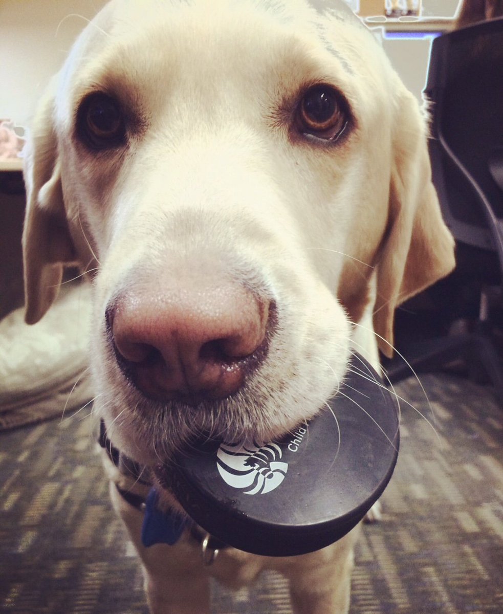 ZebraCentre's tweet photo. VOTE for Team @cmcdavid97 in @HockeyHelpsKids and RT for the chance to win this custom Fletcher signed hockey puck! https://t.co/kzNMpGzyKQ