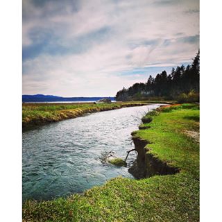 Olym_Picture's tweet photo. Dosewallips river draining into the Hood Canal #dosewallips #wanderwashington... https://t.co/qsbrlQksNV https://t.co/9wIhUsuN8m