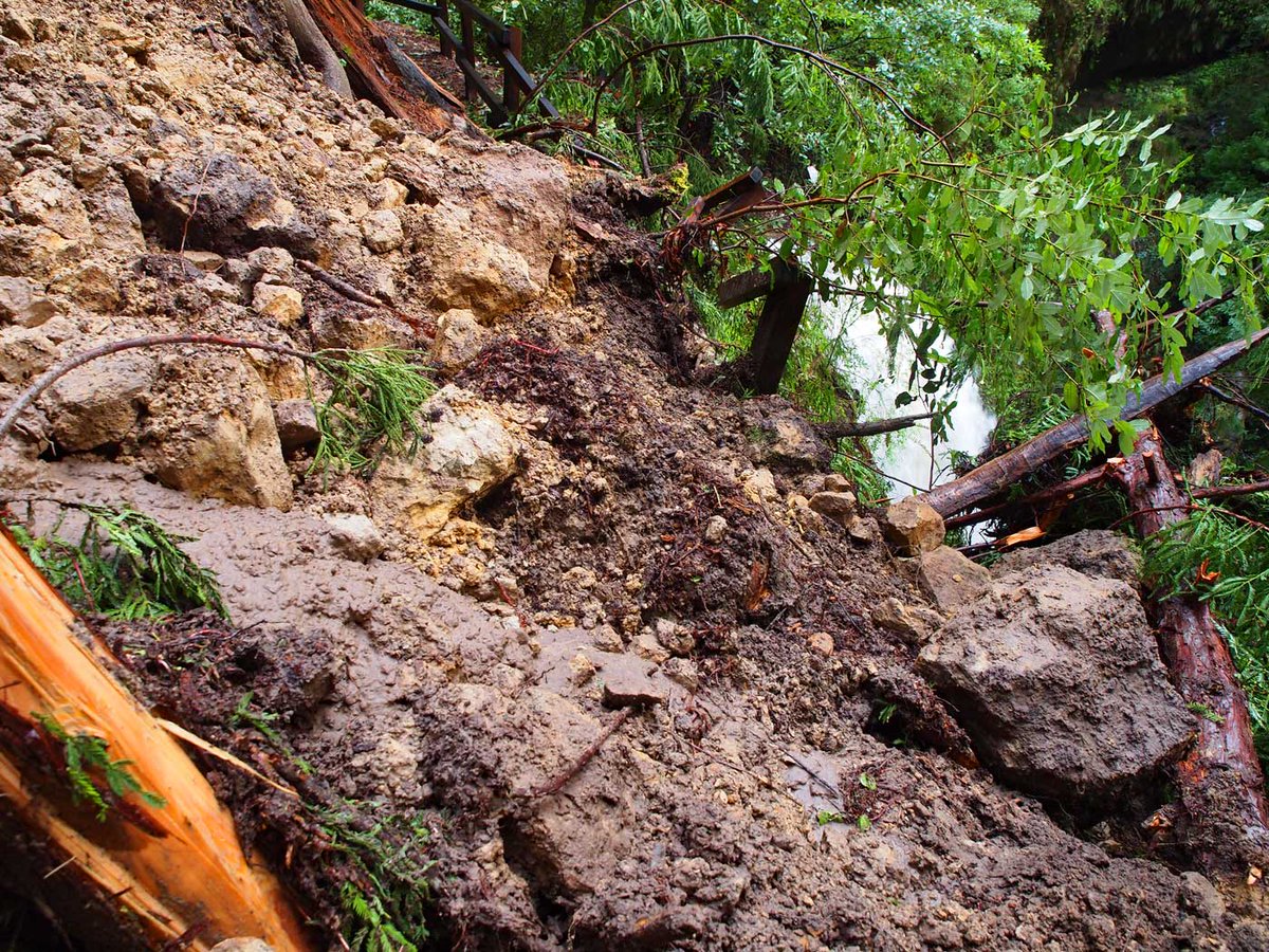 LealKurt's tweet photo. Berry Creek Falls trail at the top of the falls. Large tree slid down over the trail and removed the guard railing. https://t.co/eWq67xMstV