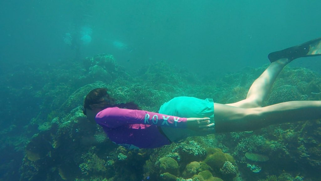 Melihat keindahan bawah laut Melati Point, dekat pulo cinta. Hari ini pkl 10.15wib <a href="/TRANS7/">TRANS7</a>