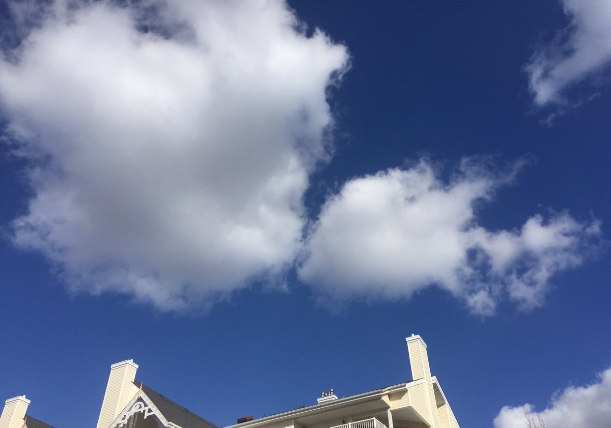 enviromichele's tweet photo. Stealing a #kiss ! #kissing #clouds #everythingyeg Blue #yeg #sky #nature #cumulus #love https://t.co/vF3r5XatXO