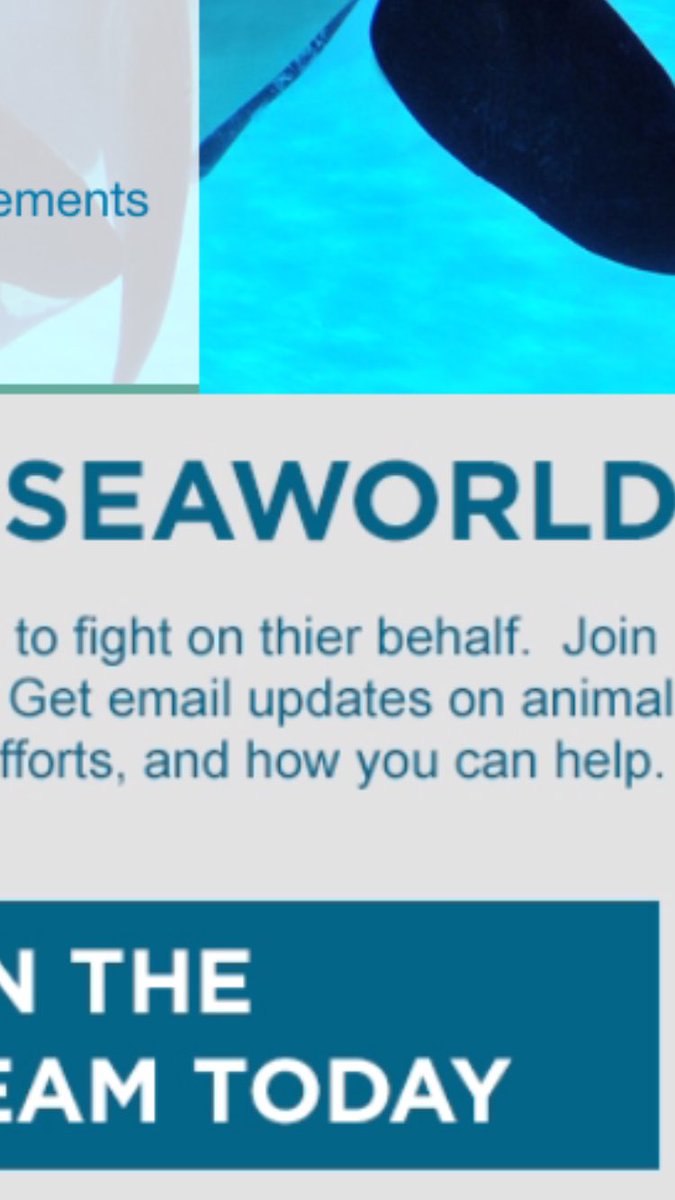 Went to check out the <a href="/SeaWorldCaresCA/">SeaWorldCaresCA</a> website after seeing their* video on Facebook... bit.ly/1Rs5FGi