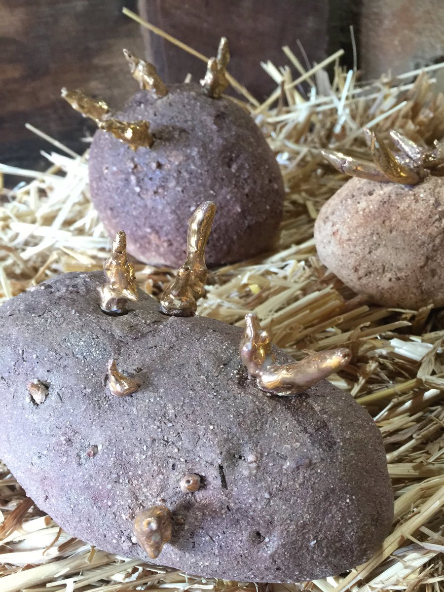 domcrin's tweet image. Pommes de Terre d'Or @artsopen Venue 31 #Castlemaine #artsopen #dominiccrinson #ceramicart