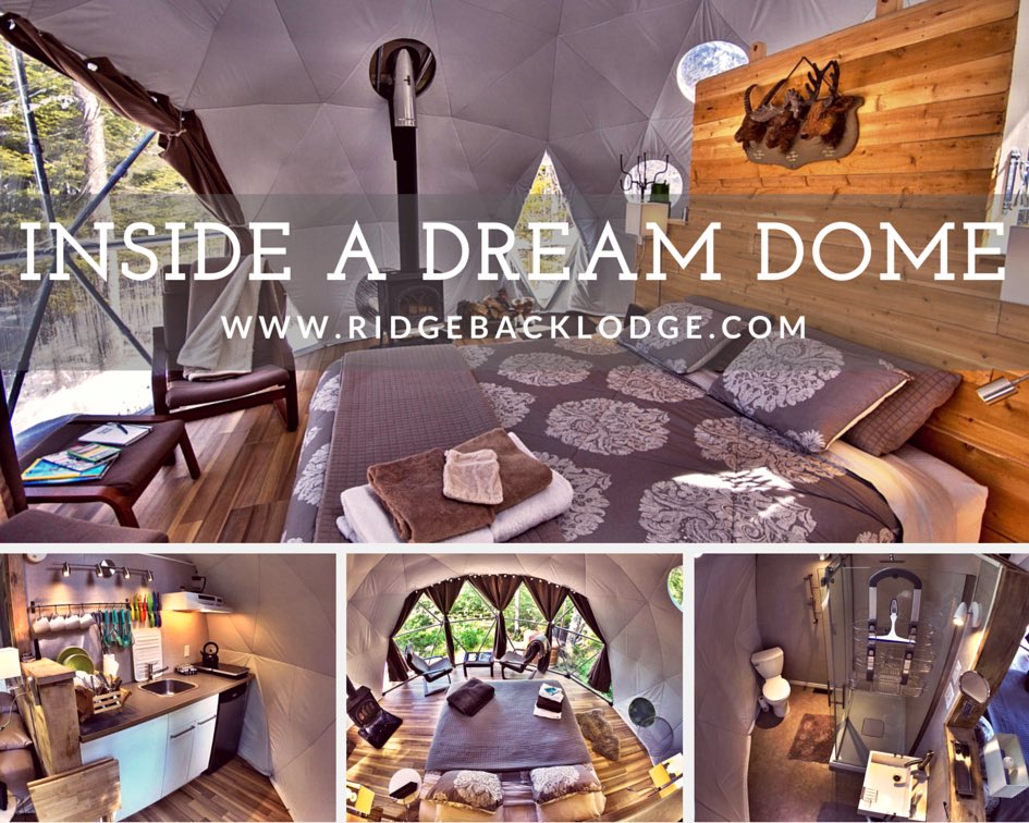 Take a peak inside our amazing Dream Domes #dreamdomes #glamping