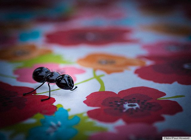 FINALLY: Tried-And-True Ways To Get Rid Of An Embarrassing Problem via <a href="/HPLifestyle/">Harry Potter's Lifestyle</a> ow.ly/ZDzV9