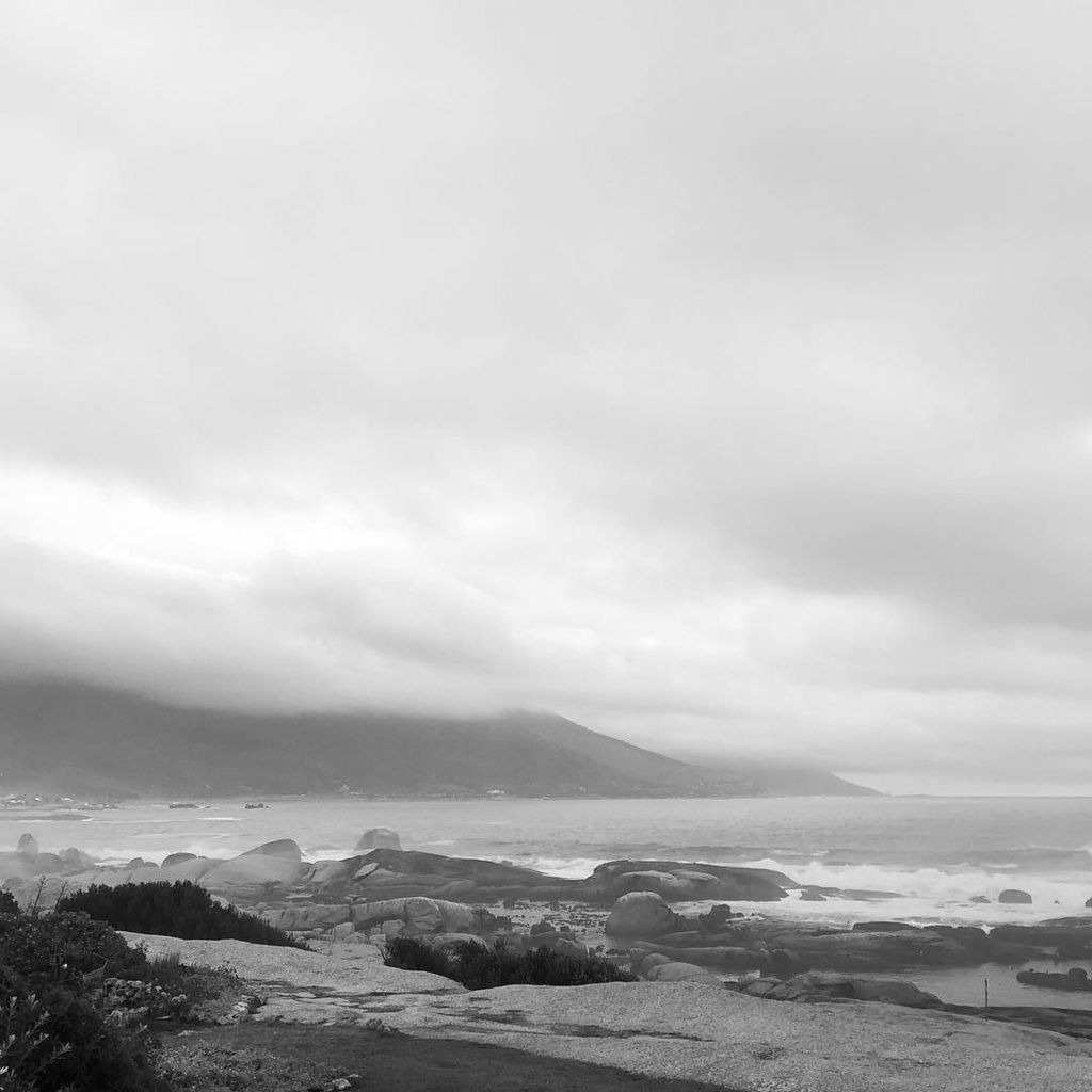 AmusingMeow's tweet image. It was the perfect day for a beach wedding. Overcast, wind still and a gorgeous couple = h… ift.tt/1XBbZzW