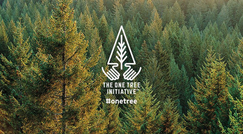 AmericanForests's tweet image. Want to help us &amp;amp; @eddiebauer plant #trees for a healthier planet? Text ONETREE to 80077. $5 = 5 Trees