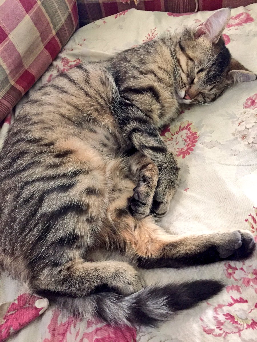 dansmellyy's tweet photo. Alone with my little girl Carl until Monday. #nospringbreakforme https://t.co/4hAXaziOhu