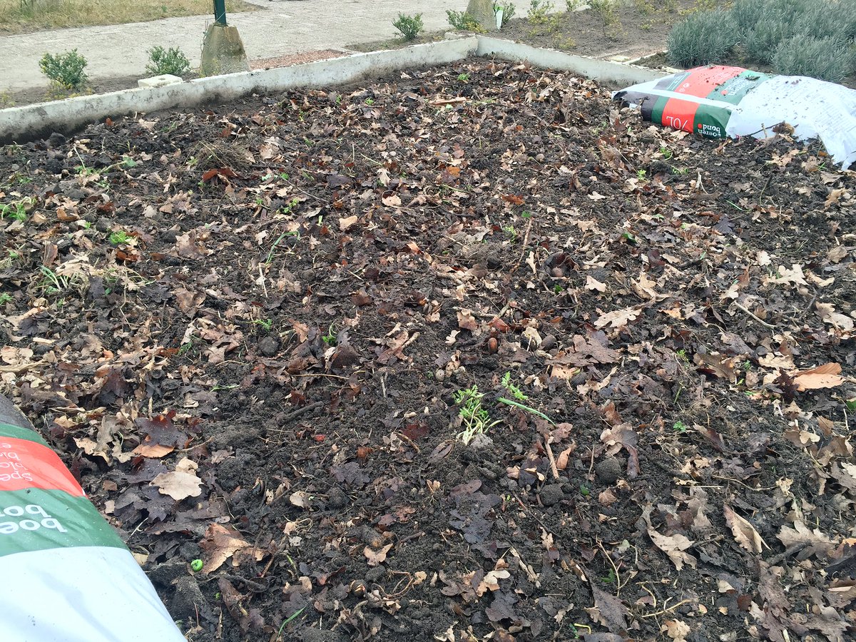 infopodaa's tweet photo. Natuur bemesting in de teeltvakken https://t.co/hTuBoiXh4z