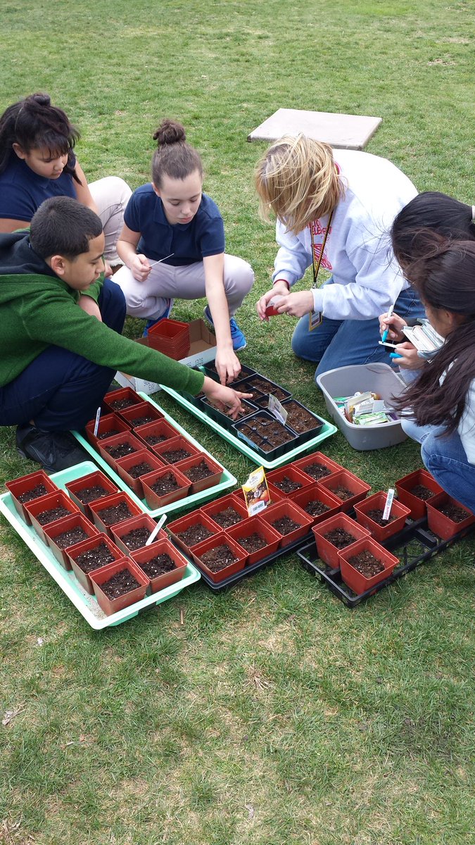 Julia Snyder tweet media