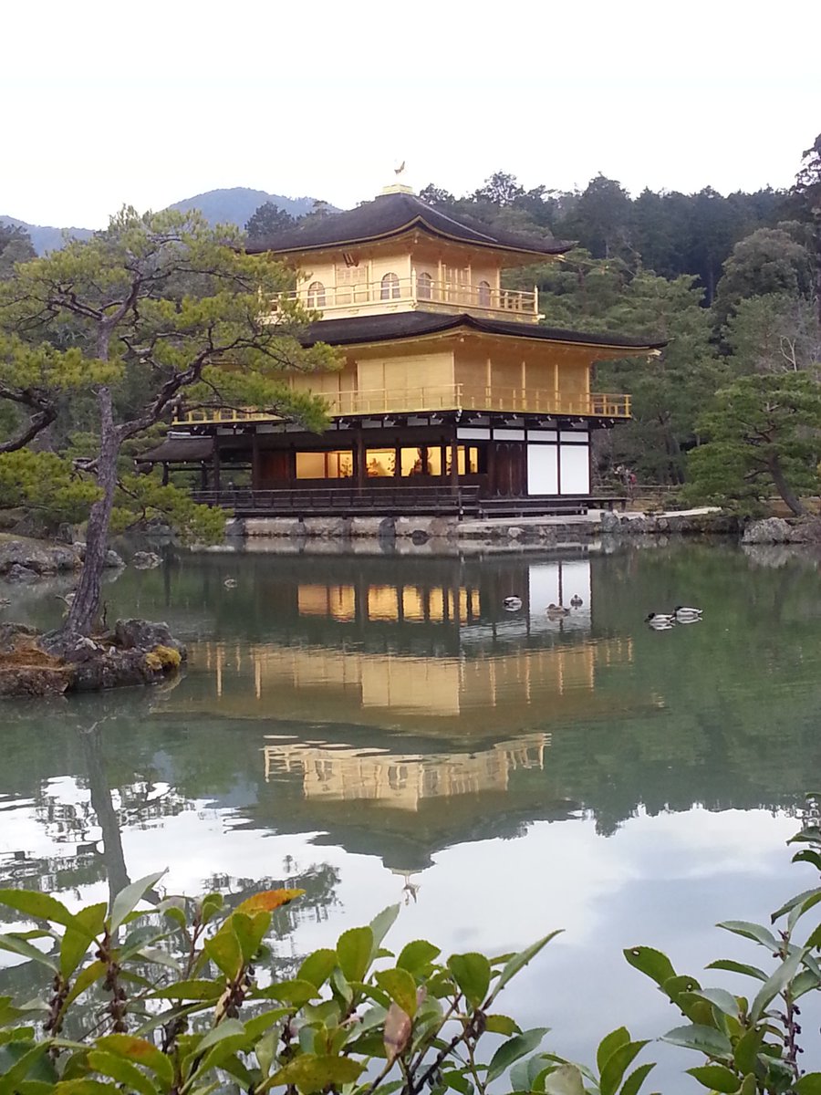 jsomgraddean's tweet photo. @jindal_utdallas Beautiful beautiful Japan. https://t.co/t8A7ejMDgo