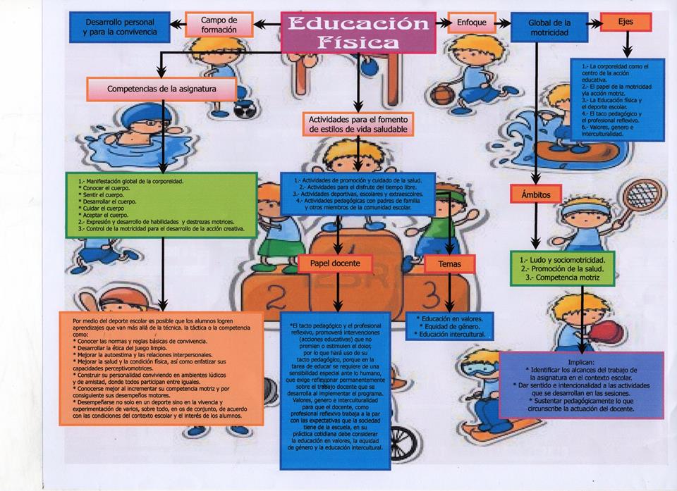 Educación Física tweet media